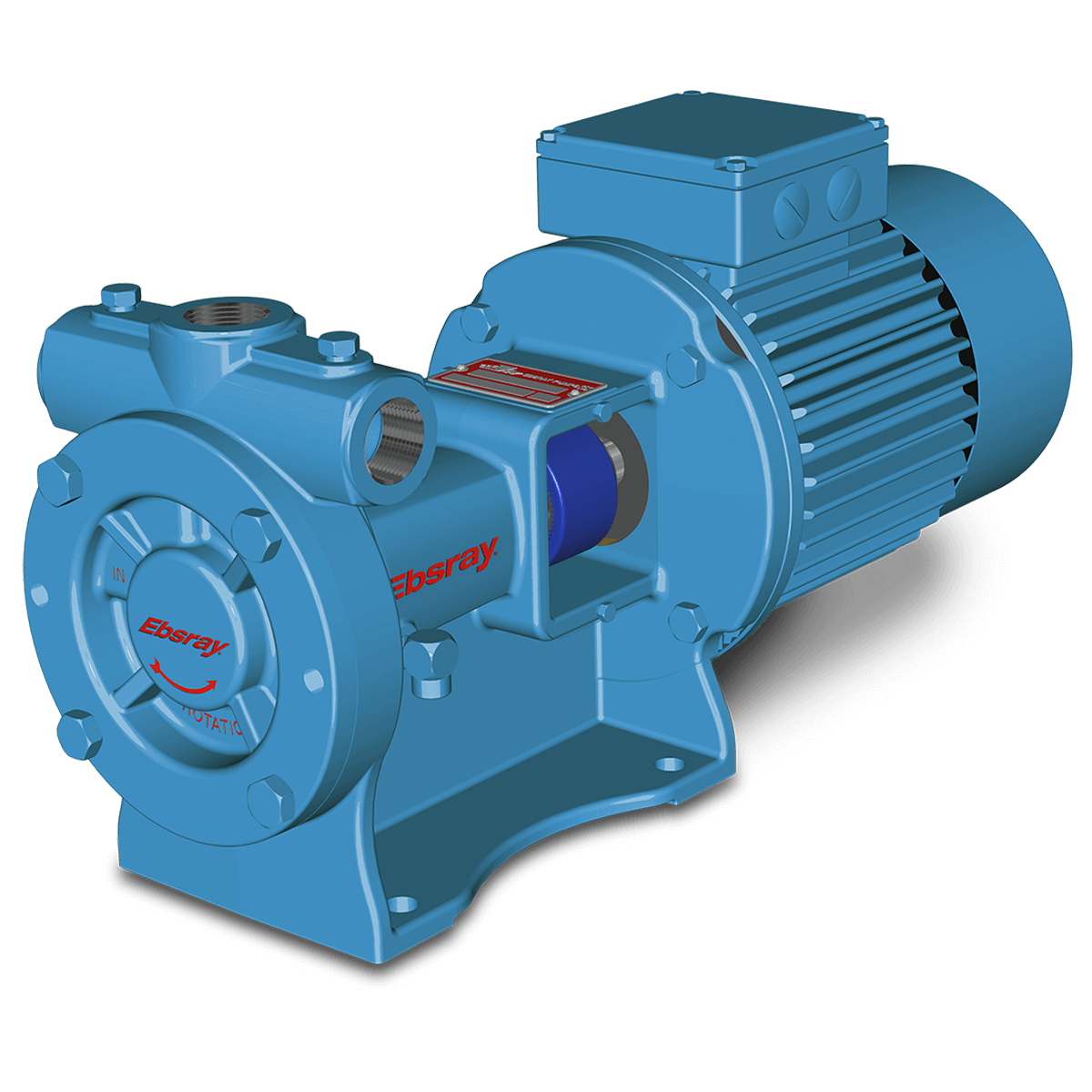 RC20 Regenerative Turbine Pump - Image 2